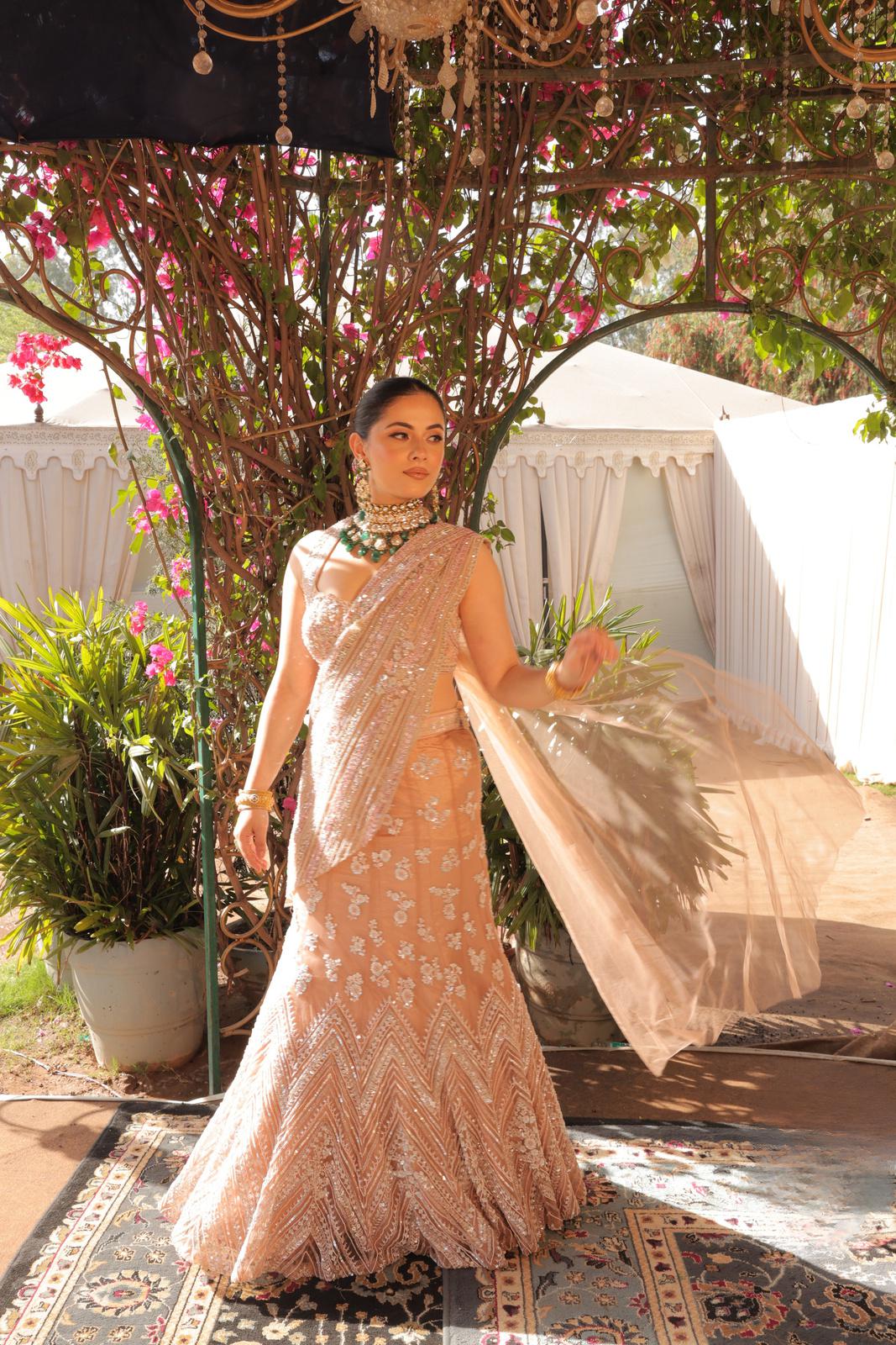 Midnight Glimmer – Draped Fish-Cut Saree